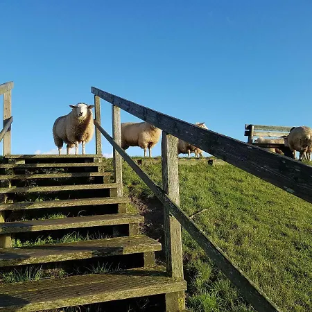 Sandbank * Sankt Peter-Ording